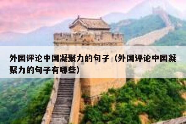 外国评论中国凝聚力的句子（外国评论中国凝聚力的句子有哪些） 第1张