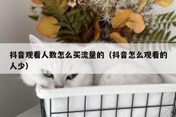 抖音观看人数怎么买流量的（抖音怎么观看的人少） 第1张