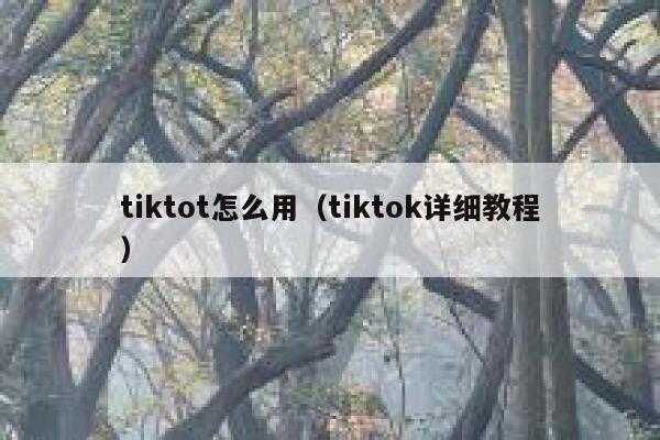 tiktot怎么用（tiktok详细教程） 第1张