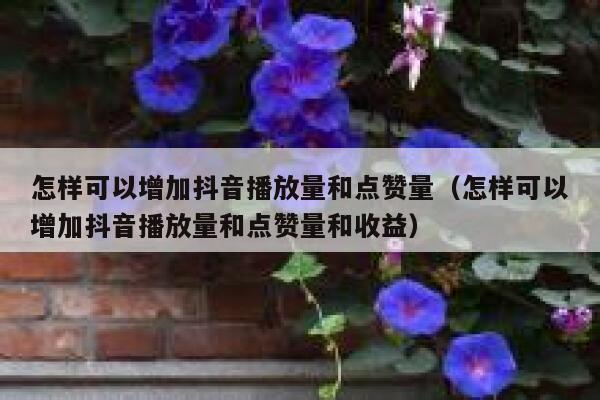 怎样可以增加抖音播放量和点赞量（怎样可以增加抖音播放量和点赞量和收益） 第1张