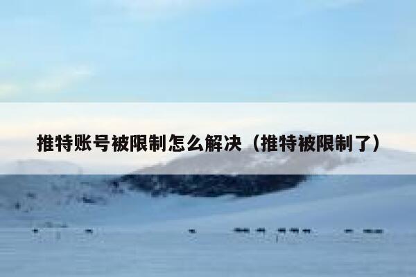 推特账号被限制怎么解决（推特被限制了） 第1张