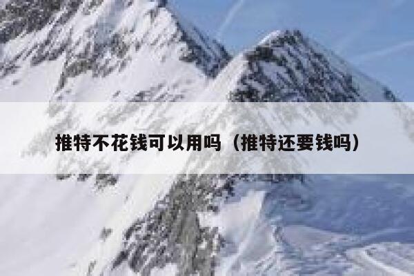 推特不花钱可以用吗（推特还要钱吗） 第1张