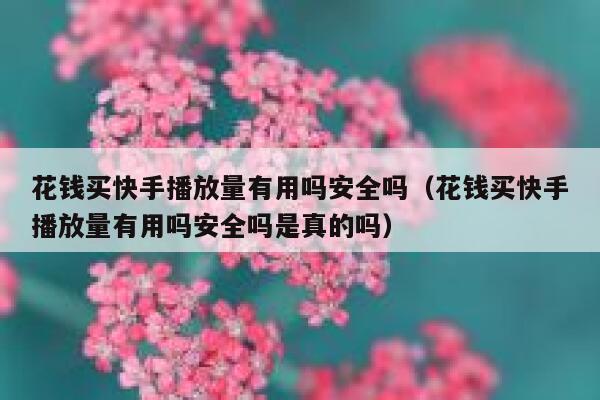 花钱买快手播放量有用吗安全吗（花钱买快手播放量有用吗安全吗是真的吗） 第1张