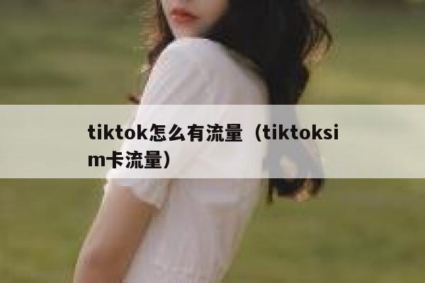 tiktok怎么有流量（tiktoksim卡流量） 第1张