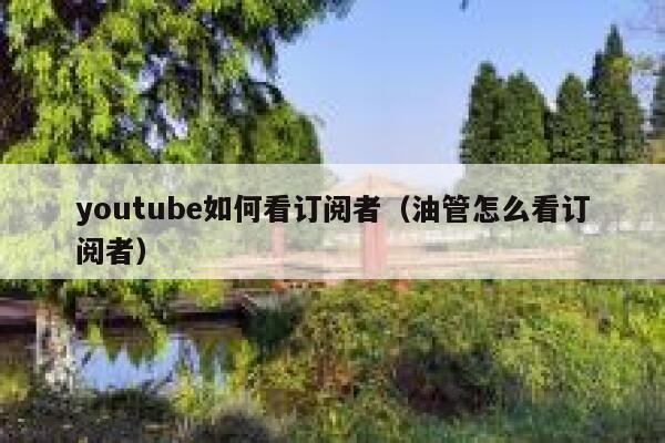 youtube如何看订阅者（油管怎么看订阅者） 第1张