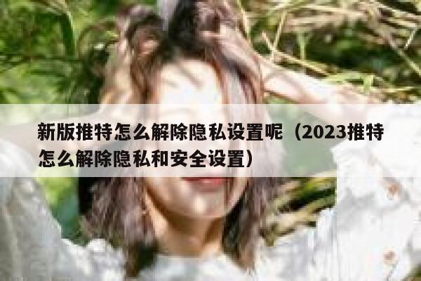 新版推特怎么解除隐私设置呢(2023推特怎么解除隐私和安全设置) 第1张 新版推特怎么解除隐私设置呢(2023推特怎么解除隐私和安全设置) 第1张