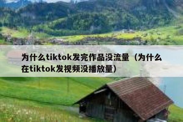 为什么tiktok发完作品没流量(为什么在tiktok发视频没播放量) 第1张 为什么tiktok发完作品没流量(为什么在tiktok发视频没播放量) 第1张