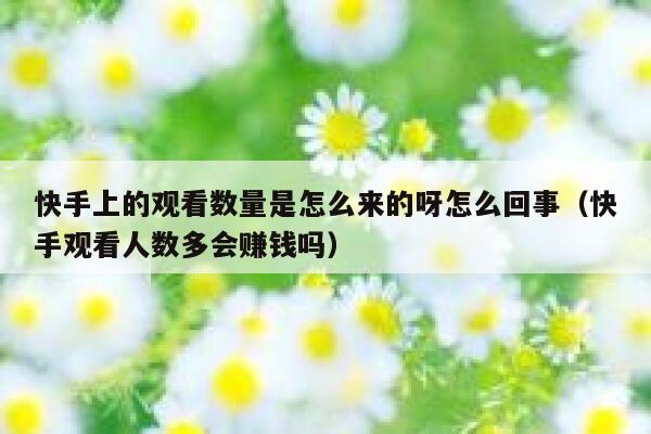 快手上的观看数量是怎么来的呀怎么回事（快手观看人数多会赚钱吗） 第1张