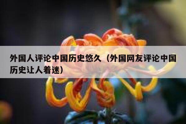 外国人评论中国历史悠久（外国网友评论中国历史让人着迷） 第1张