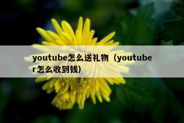 youtube怎么送礼物(youtuber怎么收到钱) 第1张 youtube怎么送礼物(youtuber怎么收到钱) 第1张