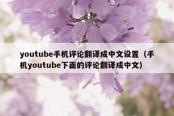 youtube手机评论翻译成中文设置（手机youtube下面的评论翻译成中文） 第1张
