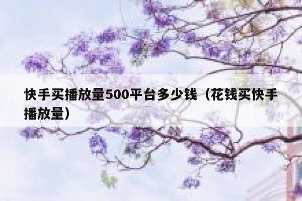 快手买播放量500平台多少钱（花钱买快手播放量） 第1张