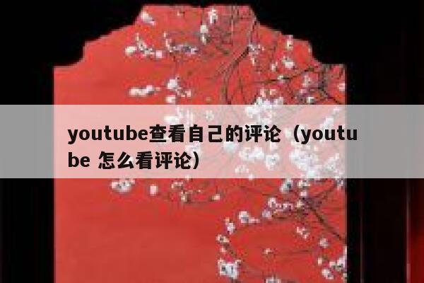 youtube查看自己的评论（youtube 怎么看评论） 第1张