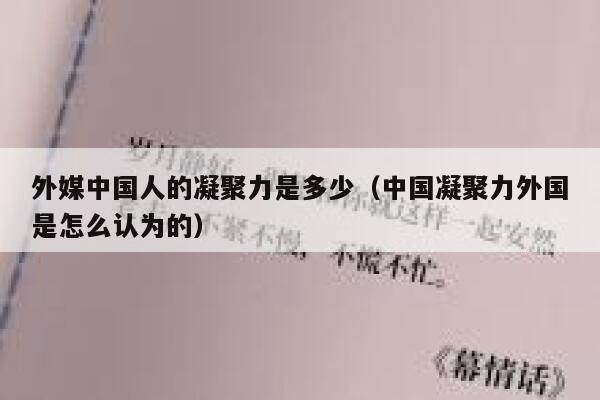 外媒中国人的凝聚力是多少（中国凝聚力外国是怎么认为的） 第1张
