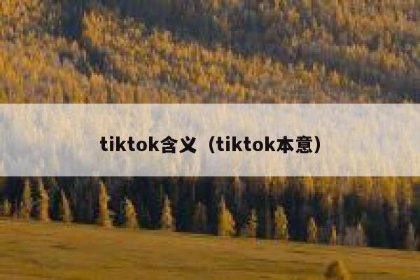 tiktok含义（tiktok本意） 第1张