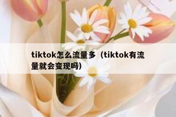 tiktok怎么流量多（tiktok有流量就会变现吗） 第1张