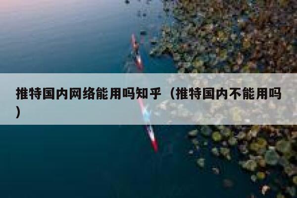 推特国内网络能用吗知乎（推特国内不能用吗） 第1张