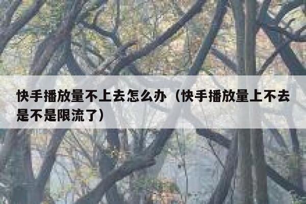 快手播放量不上去怎么办（快手播放量上不去是不是限流了） 第1张