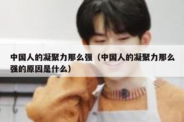 中国人的凝聚力那么强（中国人的凝聚力那么强的原因是什么） 第1张
