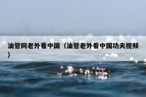 油管网老外看中国（油管老外看中国功夫视频） 第1张