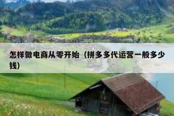 怎样做电商从零开始（拼多多代运营一般多少钱） 第1张