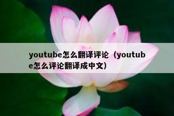 youtube怎么翻译评论（youtube怎么评论翻译成中文） 第1张