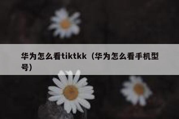 华为怎么看tiktkk(华为怎么看手机型号) 第1张 华为怎么看tiktkk(华为怎么看手机型号) 第1张