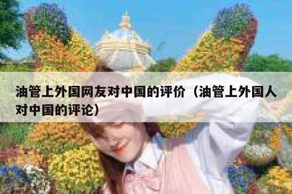 油管上外国网友对中国的评价（油管上外国人对中国的评论） 第1张