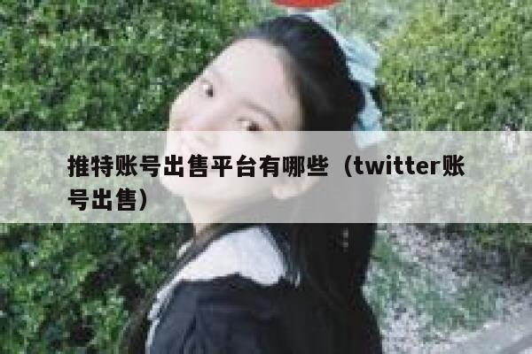 推特账号出售平台有哪些(twitter账号出售) 第1张 推特账号出售平台有哪些(twitter账号出售) 第1张
