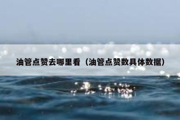 油管点赞去哪里看(油管点赞数具体数据) 第1张 油管点赞去哪里看(油管点赞数具体数据) 第1张