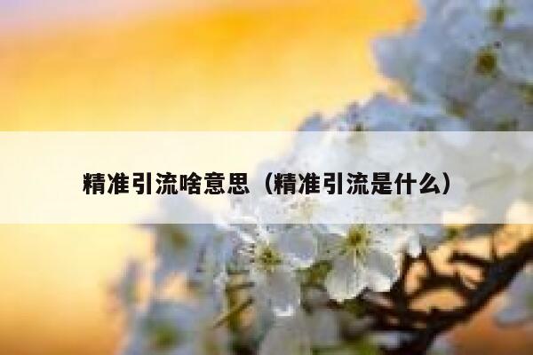 精准引流啥意思（精准引流是什么） 第1张