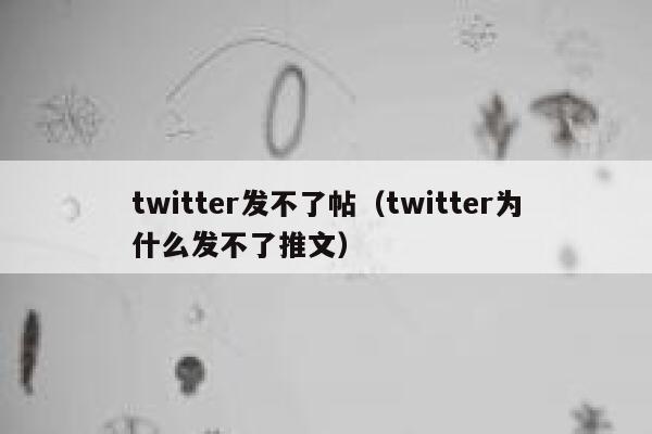 twitter发不了帖(twitter为什么发不了推文) 第1张 twitter发不了帖(twitter为什么发不了推文) 第1张