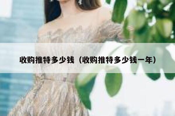 收购推特多少钱（收购推特多少钱一年） 第1张