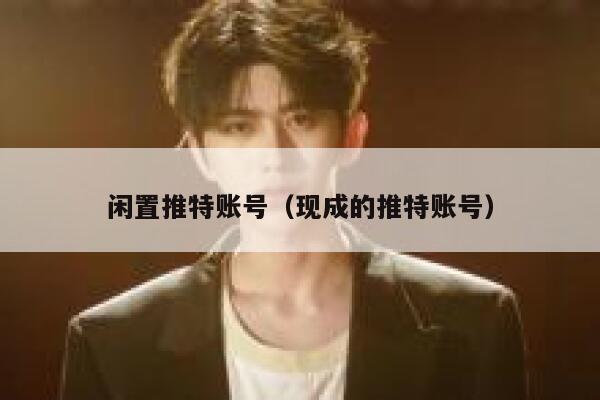 闲置推特账号（现成的推特账号） 第1张