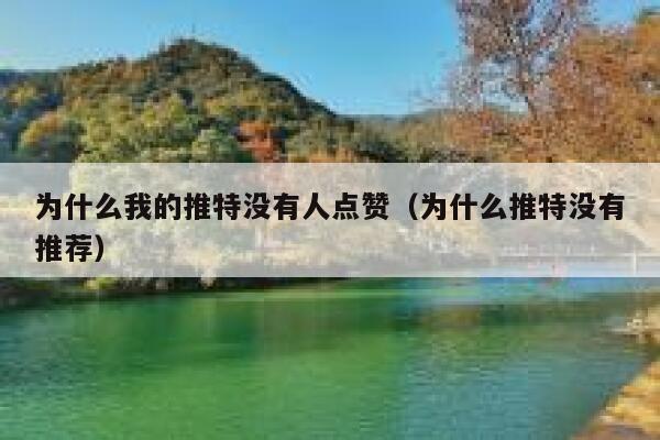 为什么我的推特没有人点赞（为什么推特没有推荐） 第1张
