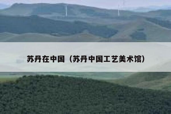 苏丹在中国(苏丹中国工艺美术馆) 第1张 苏丹在中国(苏丹中国工艺美术馆) 第1张