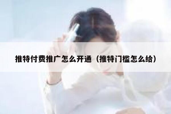 推特付费推广怎么开通(推特门槛怎么给) 第1张 推特付费推广怎么开通(推特门槛怎么给) 第1张