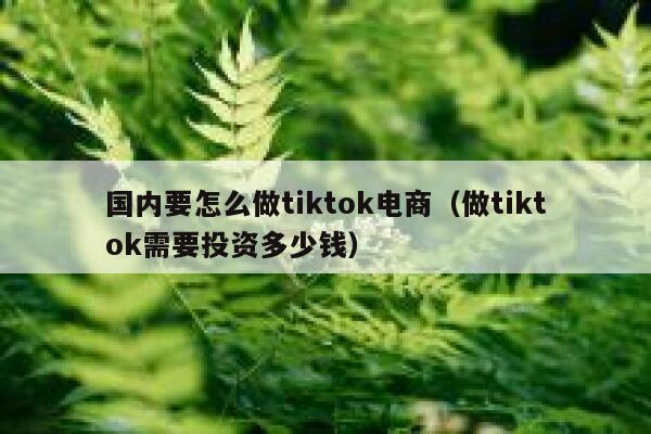 国内要怎么做tiktok电商(做tiktok需要投资多少钱) 第1张 国内要怎么做tiktok电商(做tiktok需要投资多少钱) 第1张
