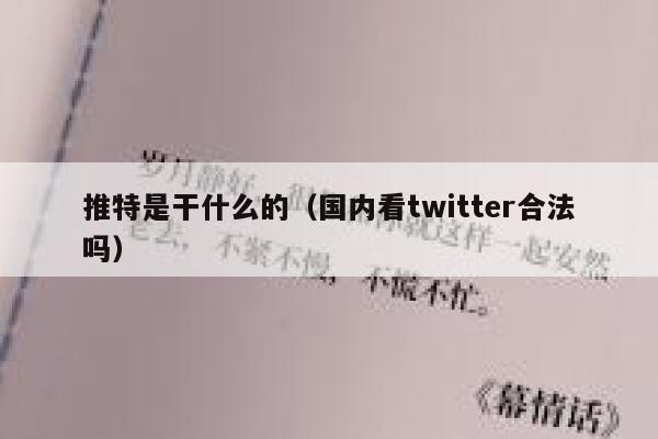 推特是干什么的（国内看twitter合法吗） 第1张