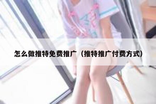 怎么做推特免费推广(推特推广付费方式) 第1张 怎么做推特免费推广(推特推广付费方式) 第1张
