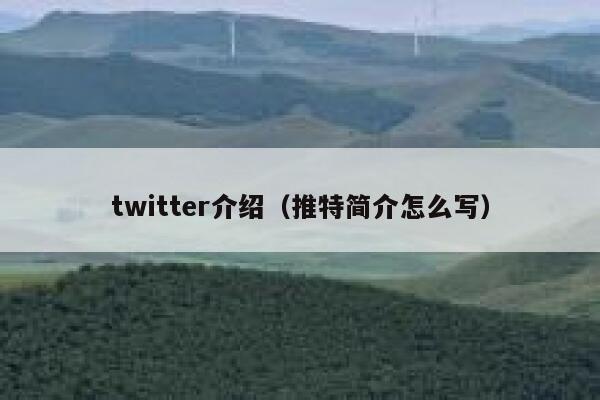 twitter介绍（推特简介怎么写） 第1张
