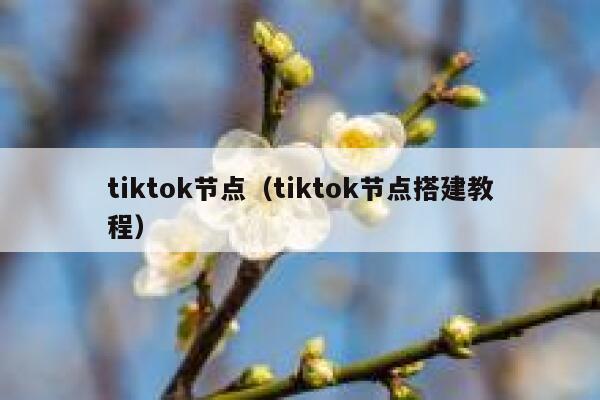 tiktok节点(tiktok节点搭建教程) 第1张 tiktok节点(tiktok节点搭建教程) 第1张