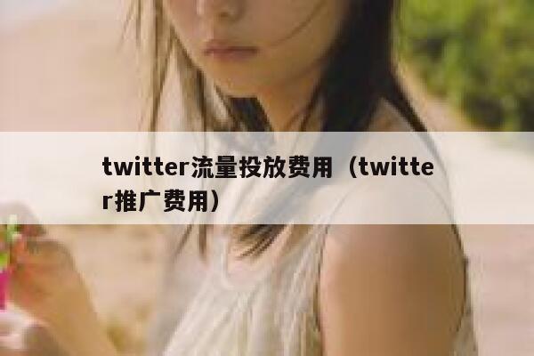twitter流量投放费用（twitter推广费用） 第1张