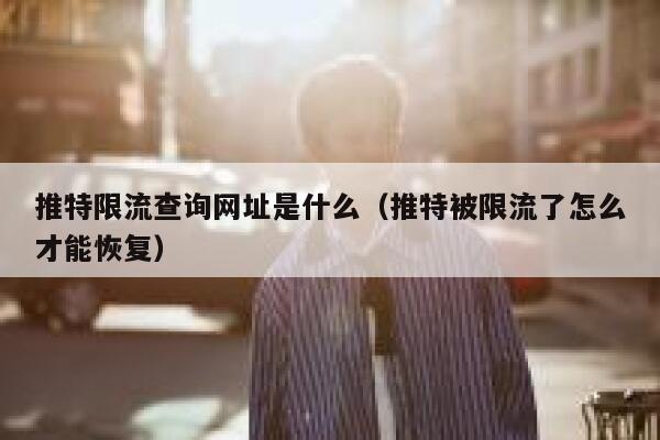 推特限流查询网址是什么（推特被限流了怎么才能恢复） 第1张