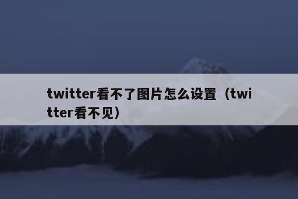 twitter看不了图片怎么设置（twitter看不见） 第1张