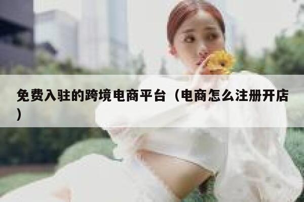 免费入驻的跨境电商平台（电商怎么注册开店） 第1张