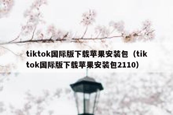 tiktok国际版下载苹果安装包(tiktok国际版下载苹果安装包2110) 第1张 tiktok国际版下载苹果安装包(tiktok国际版下载苹果安装包2110) 第1张