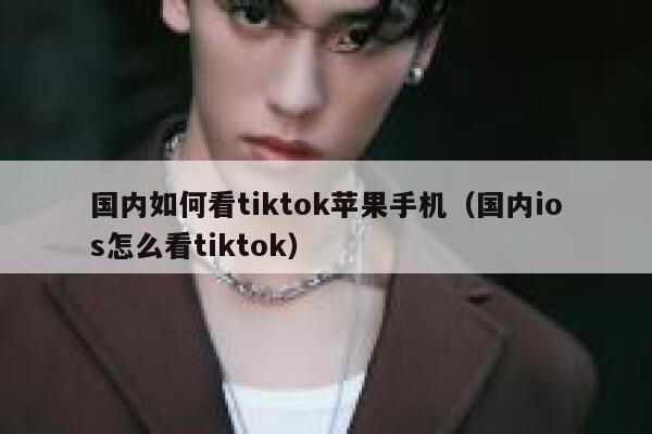 国内如何看tiktok苹果手机（国内ios怎么看tiktok） 第1张