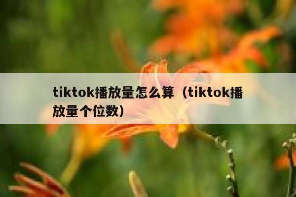 tiktok播放量怎么算（tiktok播放量个位数） 第1张