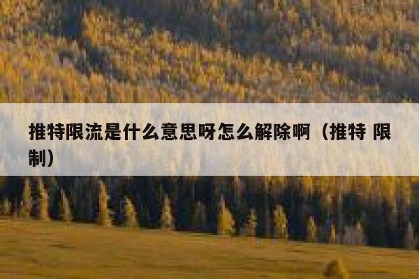 推特限流是什么意思呀怎么解除啊（推特 限制） 第1张